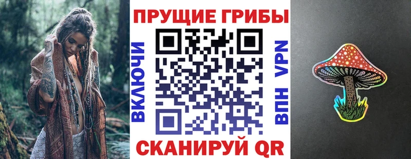 Галлюциногенные грибы ЛСД shop телеграм Благовещенск
