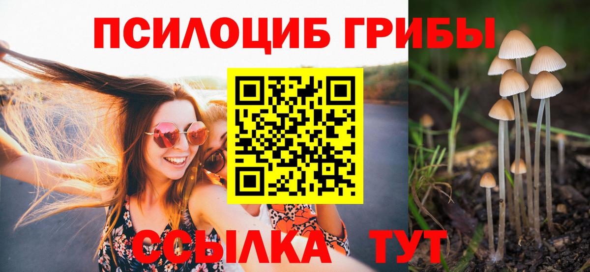 Галлюциногенные грибы MAGIC MUSHROOMS Благовещенск